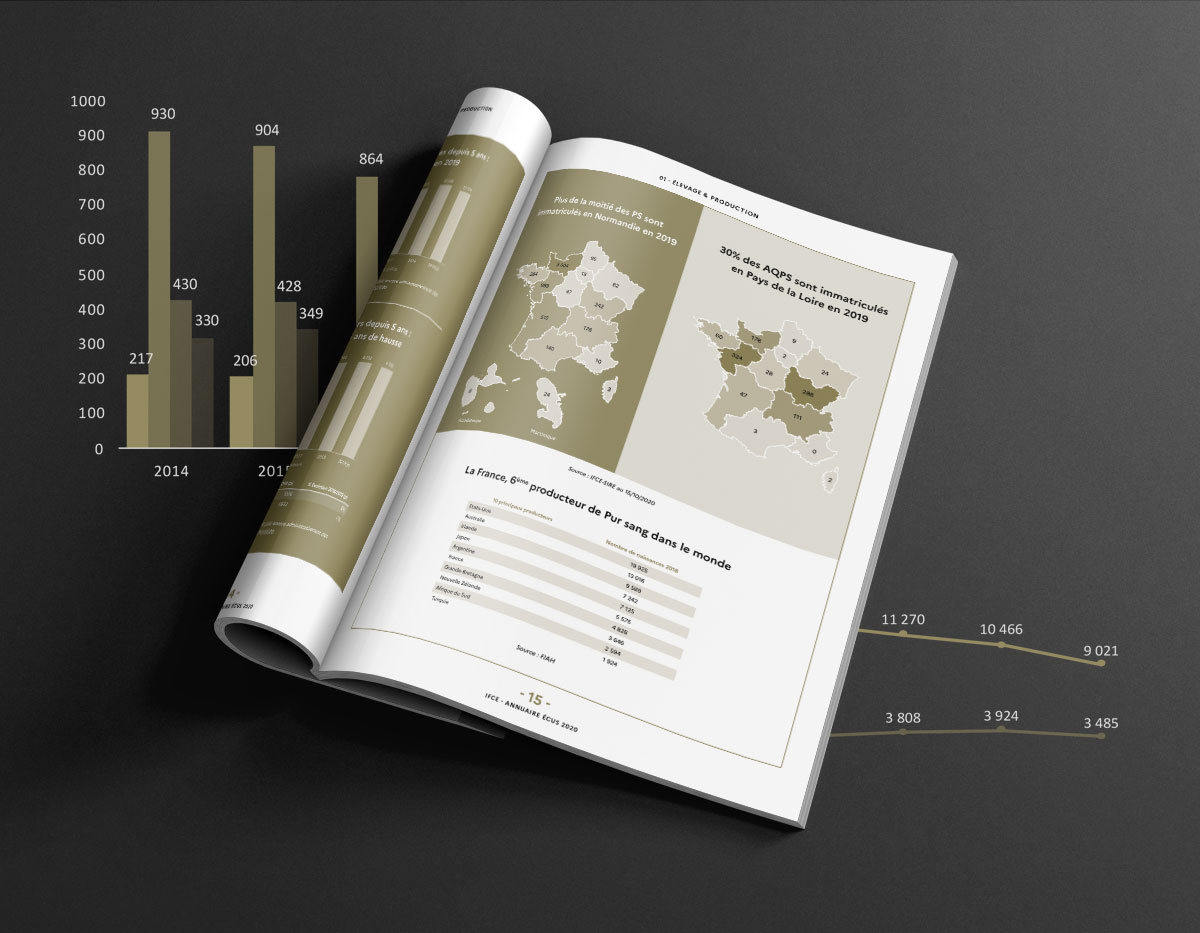IFCE Brochure graphiques